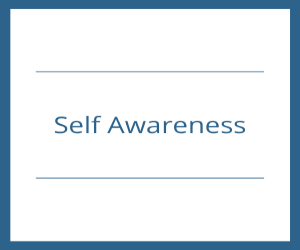 Self Awareness